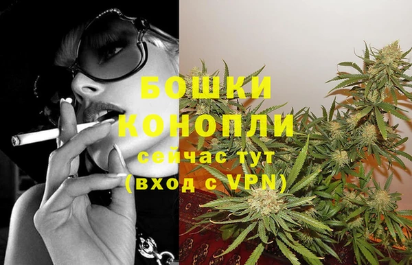 крисы Арсеньев