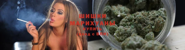 крисы Арсеньев