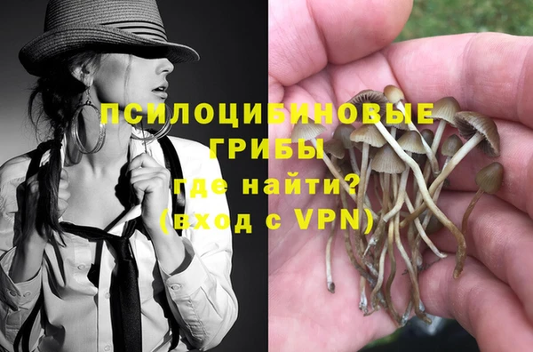 гидра Армянск