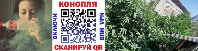 маркетплейс как зайти  где купить наркотик  Белая Холуница  Бошки марихуана семена  МЕГА маркетплейс 